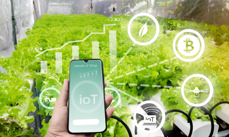 Australia grants AU$250K to extend Agriculture market intelligence aid