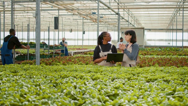 China and Morocco to boost bilateral agricultural cooperation