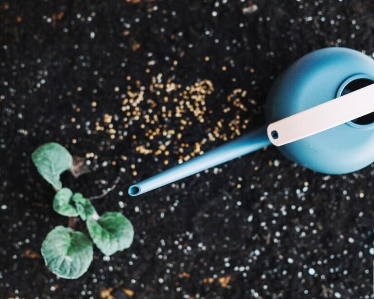 Karrikin liquid supplement formula to promote soil health, germination, plant growth