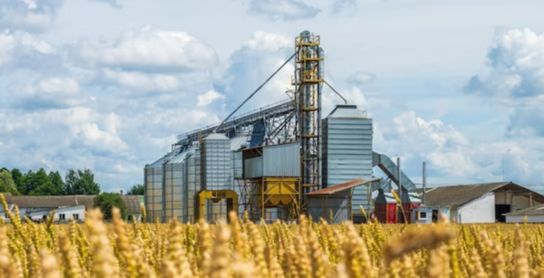 Australia grants $30M fund to enhance risk management capabilities of grain growers