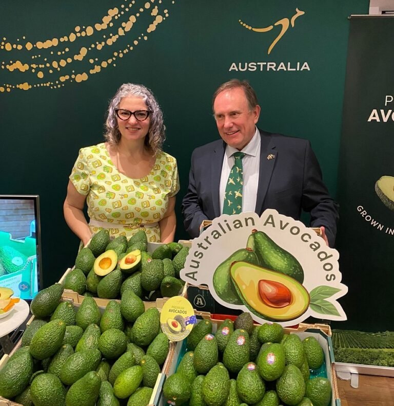 Australia accelerates avocado export to Thailand estimating market value $10M/year