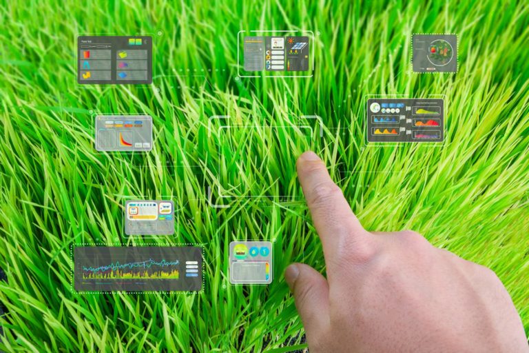 IRRI launches AI-powered global digital platform for hybrid rice breeding and parental selection