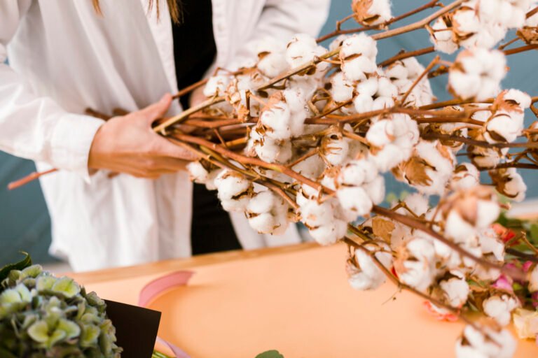 Xinjiang’s cotton irrigation technologies contribute to Central Asia’s sustainable development