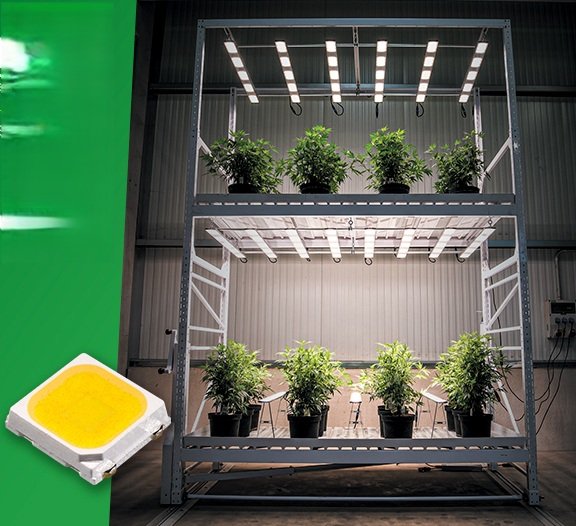 Cree LED and SANlight partner to advance high-efficiency horticulture lighting
