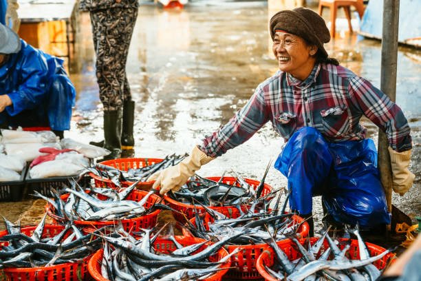 Asia’s seafood exports in 2025: Tariffs, trade deals and market shifts