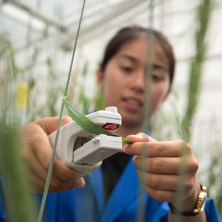 Australia’s CSIRO opens program for SMEs developing farm and food technology solutions