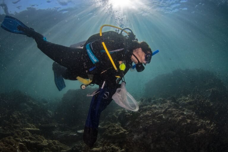 75% of marine protected areas hit by pollution: Wake-up call for global conservation