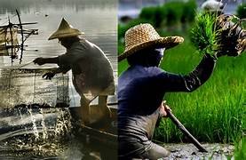 Philippines DA, MAFAR unveil ₱904-M agri-fishery investment opportunities to boost agribusiness transformation